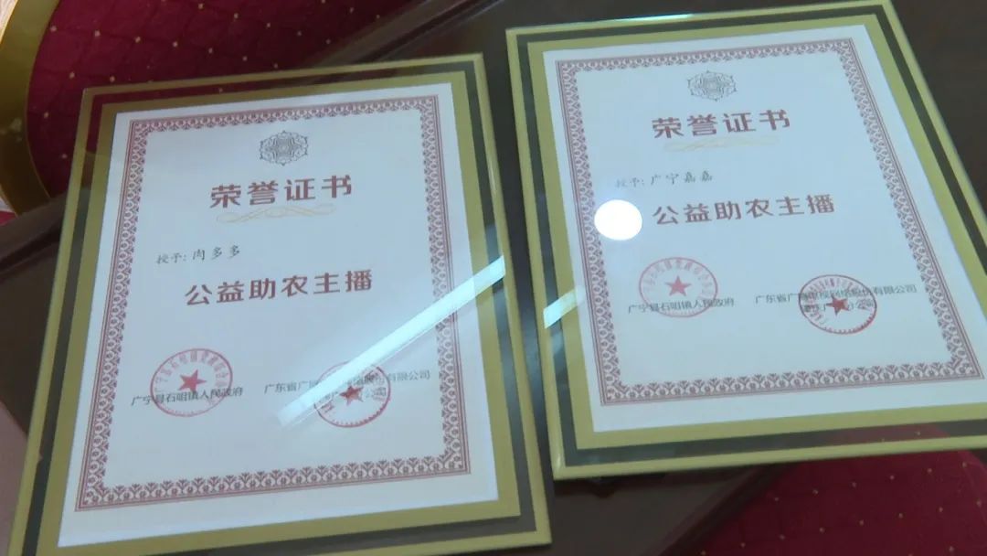 廣東廣電網(wǎng)絡(luò)：智慧廣電網(wǎng)絡(luò)平臺(tái)，開(kāi)啟廣寧農(nóng)產(chǎn)品銷(xiāo)售新格局