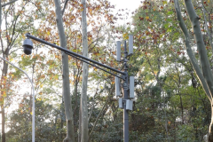5G新基建如何快速規(guī)模布局？